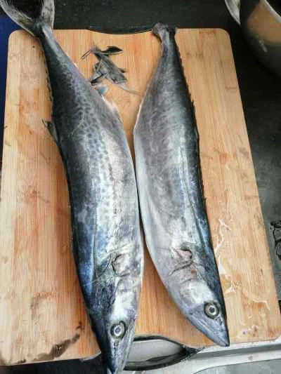 自家製スモークサバのレシピ手順：1
