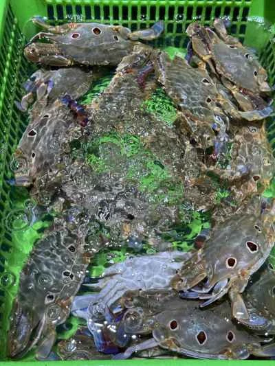 わさびバターカニの作り方：1