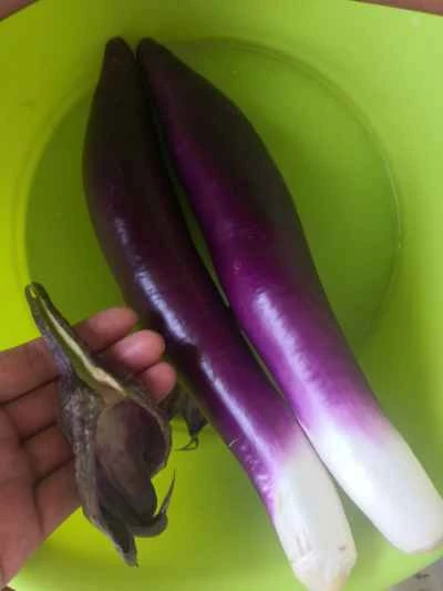 ナスとサトイモの花の作り方：5