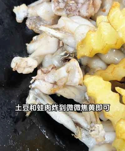 ドライポットフロッグの作り方：7