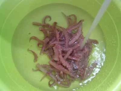 イカの足とネギの炒め物の作り方：4