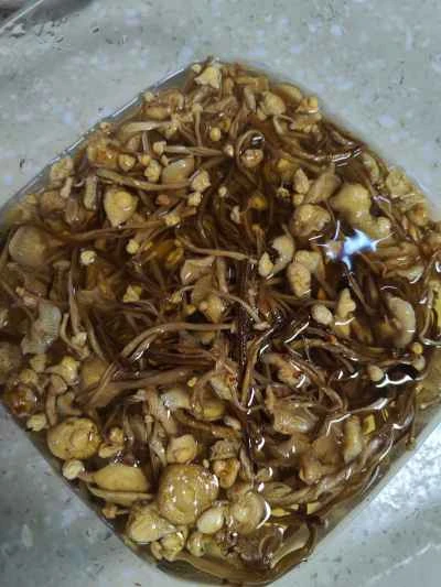 豚骨と腸の蒸し煮の作り方：10