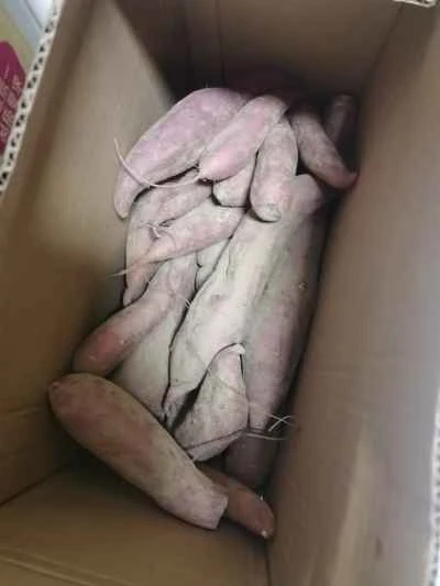 蒸しサツマイモのレシピ手順:1