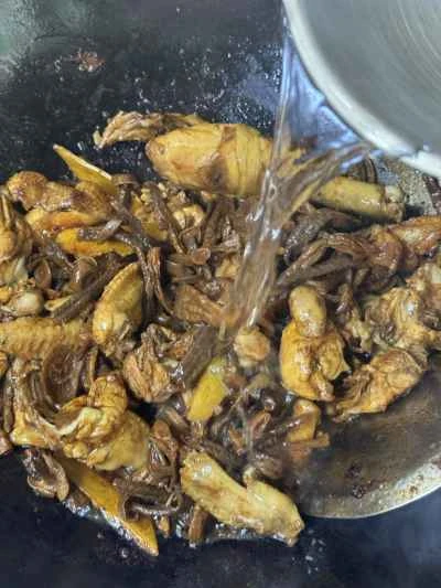 鹿角茸を使った鶏肉の煮込みの作り方：10