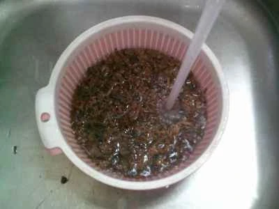 梅干しと川エビの炒め物の作り方：3