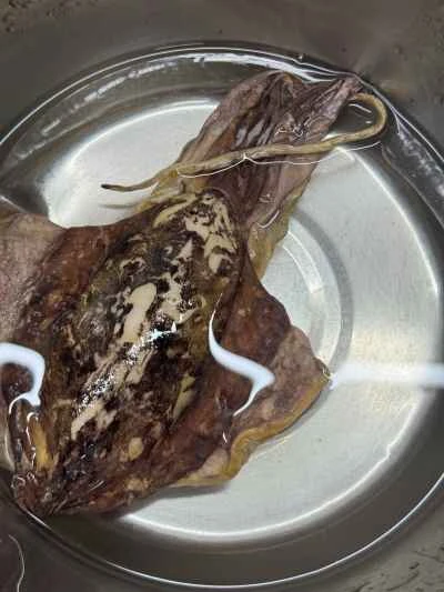 鶏肉と干しイカの煮込みの作り方：1