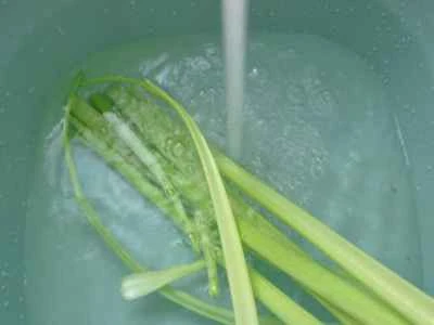 イカとセロリの炒め物の作り方：5