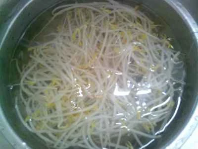 緑豆の芽と千切りの辛子漬けを作る手順：5