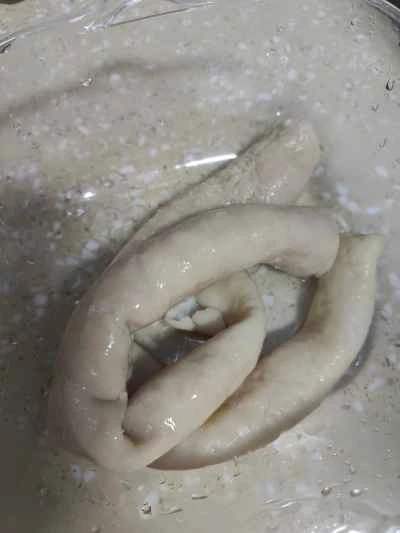 豚腸とキャベツのピクルス炒めの作り方：6