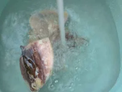 冬瓜入りイカ煮の作り方：3