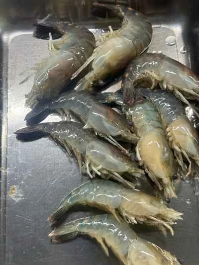 シーフードプラッターの作り方：2