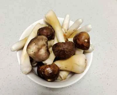 野菜、松茸、春雨の煮物を作る手順：3