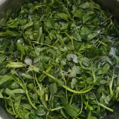 蒸しアルファルファのレシピ手順：3