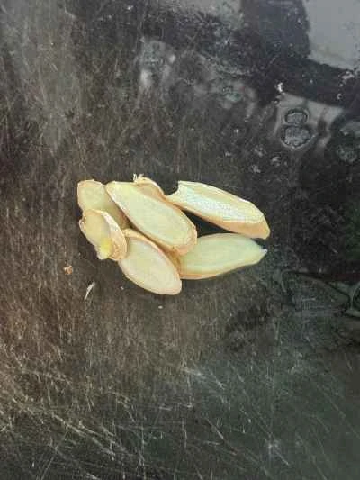 キャベツと豆腐のピクルスで煮込んだ黄ナマズの作り方：3