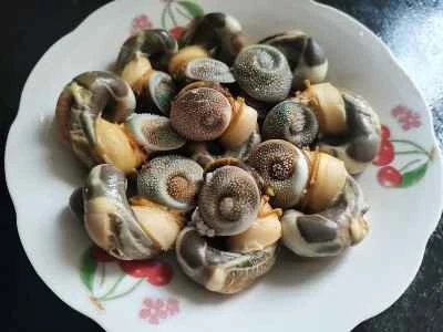 湯通ししたツブ貝の作り方：5