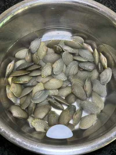 アサリとスズキの煮込みの作り方：1