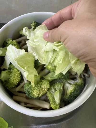 鶏肉と野菜の鍋レシピ 手順：16