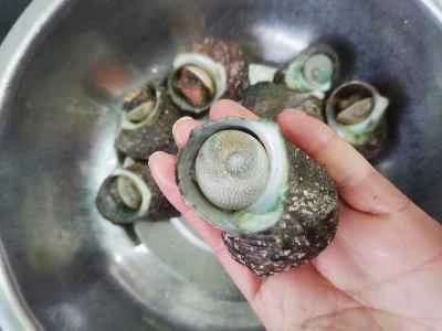 湯通ししたツブ貝の作り方：1