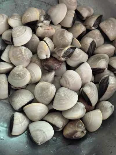 アサリ入り魚の頭煮込みの作り方：2