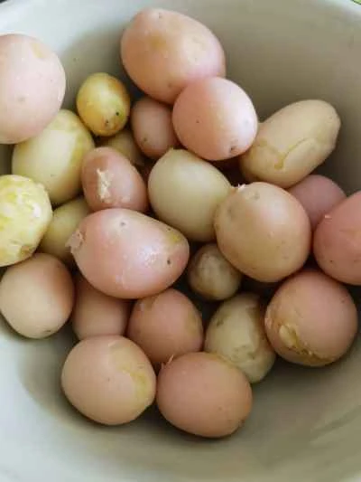 クリスピーポテトの作り方：4