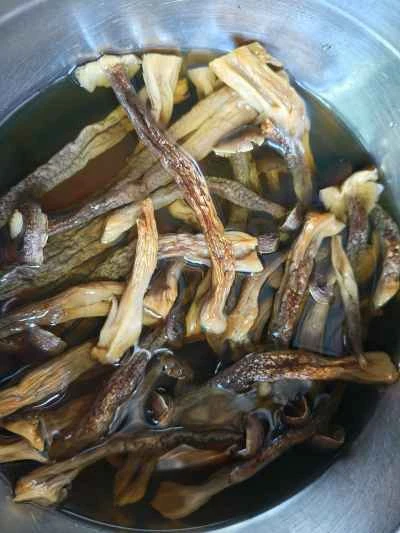 乾燥ポットの鹿角茸の作り方：1