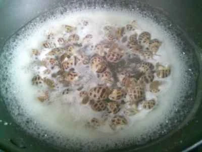 ピクルスにしたカラシナのソースを添えた茹でツブ貝の作り方:5