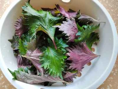 シソオムレツの作り方:1