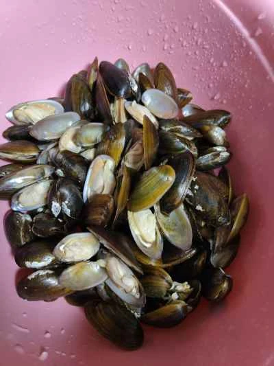 アサリのバジル炒めの作り方：2