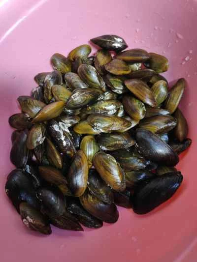 アサリのバジル炒めの作り方：1