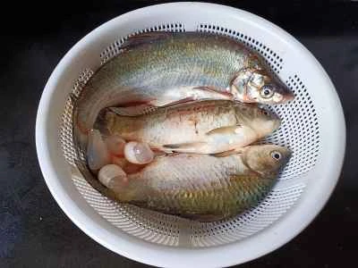 シーフードの煮込みを作る手順：1