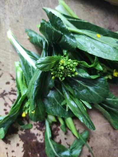 豚肉の皮と白菜の炒め物の作り方:2