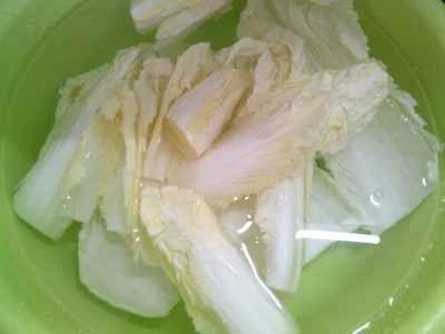 豆腐の細切り、キャベツの芯、サツマイモの麺の煮込みの作り方：4