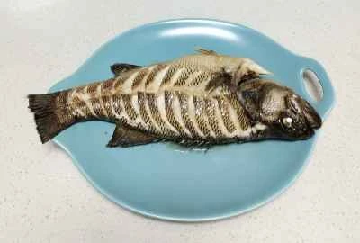 蒸しスズキのレシピ手順：4