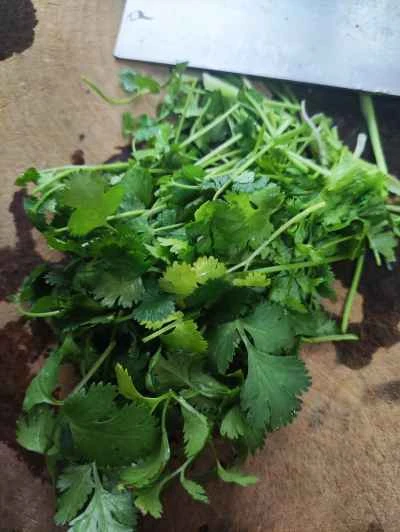 羊肉とネギの炒め物の作り方:4