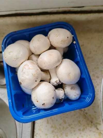 トマトとマッシュルームの牛肉煮込みの作り方：6