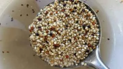 キヌアと花椒豆腐の作り方：3