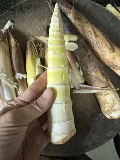 鶏肉とたけのこの煮込みの作り方：3