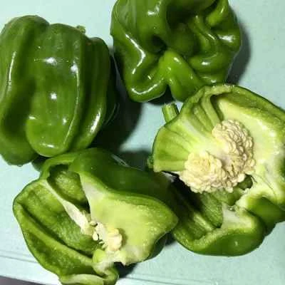 薄皮ピーマンを使った豚バラ肉の塩漬けの作り方：1