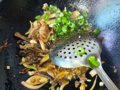 乾燥ポットの鹿角茸の作り方：11