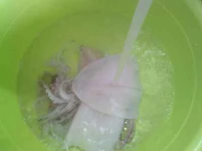 イカとピーマンの炒め物の作り方：2