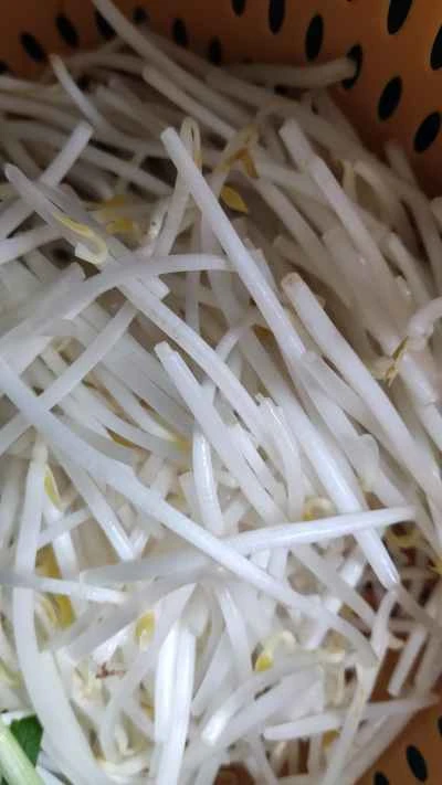 緑豆もやしとニラの炒め物の作り方:1