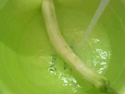 夜咲きセレウス入りかまぼこの炒め物の作り方：2