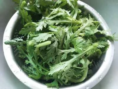 菊野菜の作り方：1