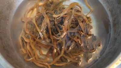 豚バラ肉の煮込みとカラシナのピクルスの作り方：8