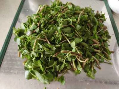 乾燥豆腐シートとスベリヒユの炒め物の作り方：2