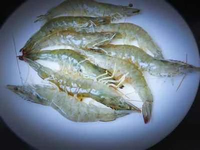 エビとヘチマの炒め物の作り方：3