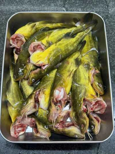 キャベツと豆腐のピクルスで煮込んだ黄色いナマズの作り方：1