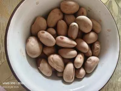 ジャックフルーツの種と豚肉の煮込み炒めの作り方：1