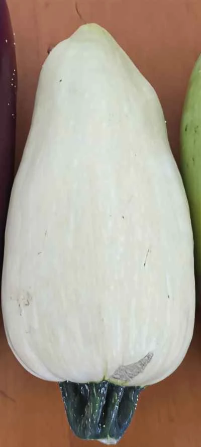 ニンニク風味の白かぼちゃの作り方：1