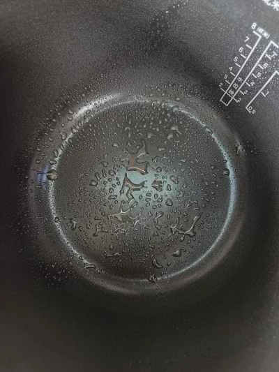 蓮の葉チキンのレシピ手順：11